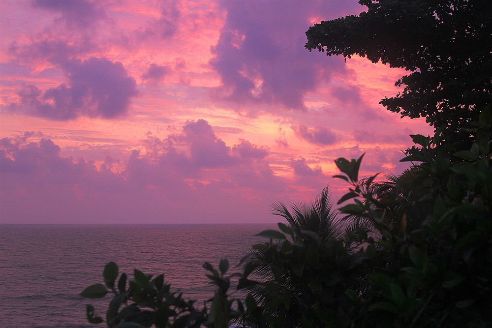 Magnolia Guesthouse Varkala Bagian luar foto